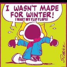 Profile Picture of Leanne Daniels (@LeanneDaniels11) on Twitter