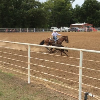 Profile Picture of Mike Twombly (@superlooper7) on Twitter