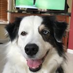 Profile Picture of Kim Reardon (@kim.reardon.313) on Instagram