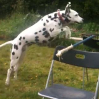 Profile Picture of Ruby Levy (@ruby.levy.9) on Facebook