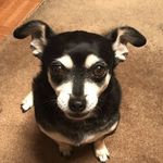 Profile Picture of Marc Whitaker (@mdwhit1) on Instagram