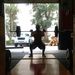 Profile Picture of Steven Skoblicki (@stevenskoblicki) on Pinterest