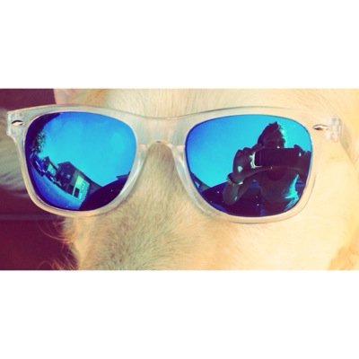 Profile Picture of Lucia Domingo (@Lu_Domingo) on Twitter