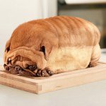 Tyler Vanwinkle - Instagram Profile Picture of Tyler Vanwinkle (@tylervanwinkle) on Instagram