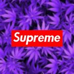 Profile Picture of James Razo (@razojames) on Instagram