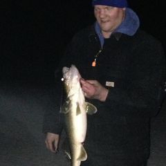 Profile Picture of Adam Courtney201 (@adamcourtney201) on Tiktok