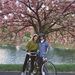 Profile Picture of Lynne MacGregor (@lmacgregor0732) on Pinterest