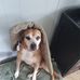 Profile Picture of Dorothy Koch (@dorothy.koch.980) on Facebook