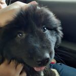 Profile Picture of Jesse Gallagher (@jessegallagherbtw) on Instagram