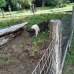 Profile Picture of Adolf Novák (@adolf.novak.127) on Facebook