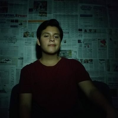 Profile Picture of Ernest Francois (@francois_ernest) on Twitter