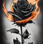 Profile Picture of Iris Vieira (@iris.vieira.573945) on Facebook