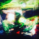 Nathan Everhart - Instagram Profile Picture of Nathan Everhart (@everhart1811) on Instagram
