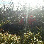 Profile Picture of Austin Zimmer (@austinzimmer) on Instagram