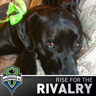 Profile Picture of Joseph Melson (@joseph.melson.5) on Facebook