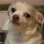 Profile Picture of jacobkincade (@jacobkincade) on Instagram