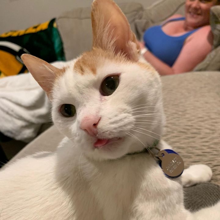 Profile Picture of Stacy Vaughn (@s_leigh_v) on Tiktok