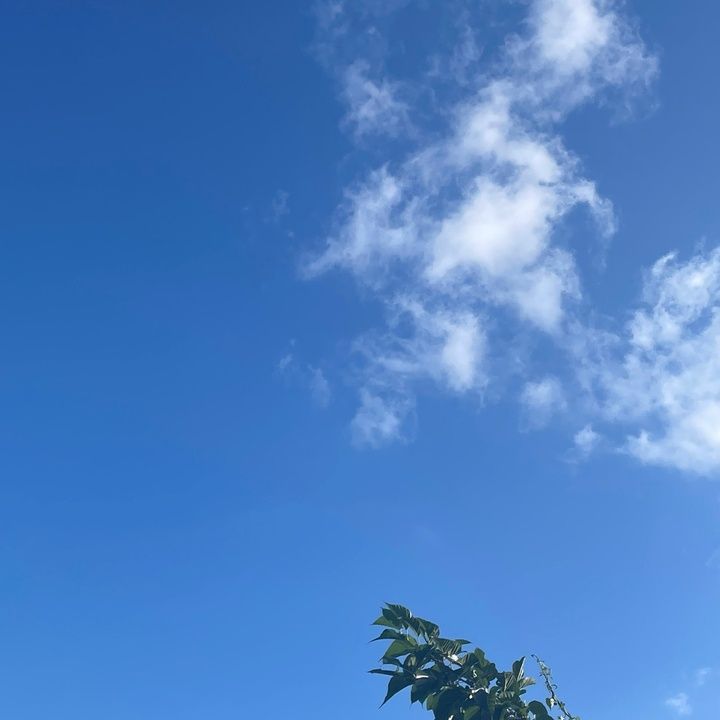 Profile Picture of Heather.Daniels (@sandrkwpjxs) on Tiktok