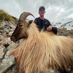 Profile Picture of Joshua Norris (@joshthomasnorris) on Instagram