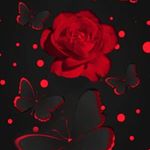 Profile Picture of Kim Edgerton (@kimgoodwin4319) on Instagram