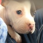 Profile Picture of Taylor Lynn Pourier (@taylor_and_gator) on Instagram