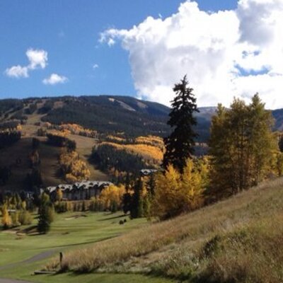 Profile Picture of Scott Shaver (@scottshaver) on Twitter