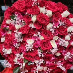 Profile Picture of Mario Coria (@mario.coria04) on Tiktok