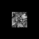 Profile Picture of Hubert Łukasik (@hubert.lukasikk) on Instagram