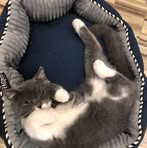 Profile Picture of Eileen Huang (@Eileen-Huang) on Facebook