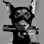 Profile Picture of Михаил Родионов (@michael_rodionov) on Instagram