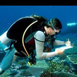 Profile Picture of Frank Ocean-ographer (@MrJessBartelt) on Twitter