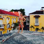 Profile Picture of Vera Lucia Thompson Flores (@veraluciathompsonflores) on Instagram