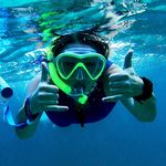 Profile Picture of Bunch (@giatyrrell) on Instagram