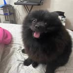 Profile Picture of Jonathan Bocog (@jonathan.bocog.2024) on Facebook