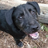 Profile Picture of Jon Schiavi (@jon-schiavi) on Quora