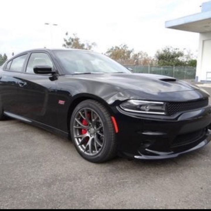 Profile Picture of Del Morgan (@lonniemor29) on Tiktok