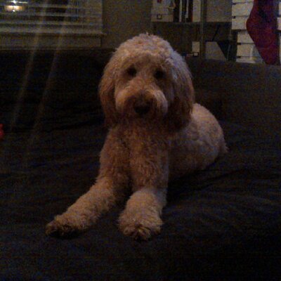 Profile Picture of Christopher Ethier (@chrisethier7) on Twitter