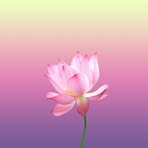 Profile Picture of Janice Shoop (@janice.shoop.2025) on Facebook