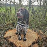 Profile Picture of Andrew Duffell (@v1_mr_spanky) on Instagram