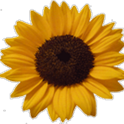 David Wolfson - Twitter Profile Picture of David Wolfson (@relaxandlearn) on Twitter