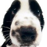 Profile Picture of Joanne Lee (@joanne_beebee) on Instagram