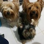 Profile Picture of Rogelio Madrigal (@madrigal.rogelio) on Instagram