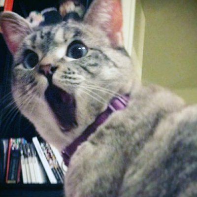 Profile Picture of Sean Stacks (@Sagittariusfist) on Twitter