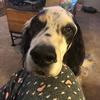 Profile Picture of Nancy Essary (@mama2hizherzourz) on Tiktok
