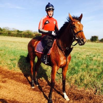 Profile Picture of Joe Kington (@joekington) on Twitter