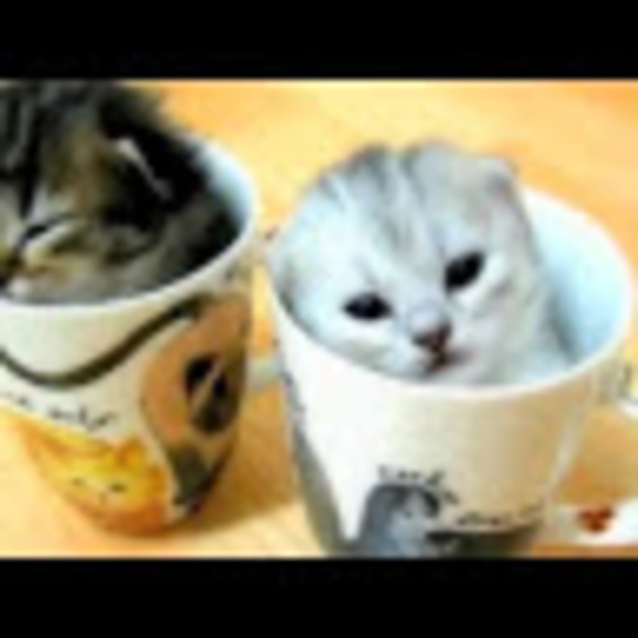 Simone Hart - Poshmark Profile Picture of Simone Hart (@simonehart2) on Poshmark