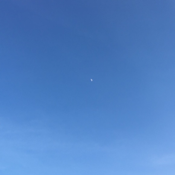 Profile Picture of Jared Robinson (@robi515) on Poshmark