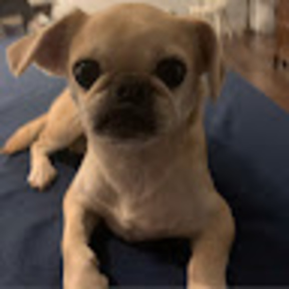 Don Batstone - Poshmark Profile Picture of Don Batstone (@dbatston) on Poshmark