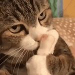 tina - Instagram Profile Picture of tina (@gloss_kim_) on Instagram