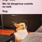 Profile Picture of James (@james.barnes.3388) on Instagram